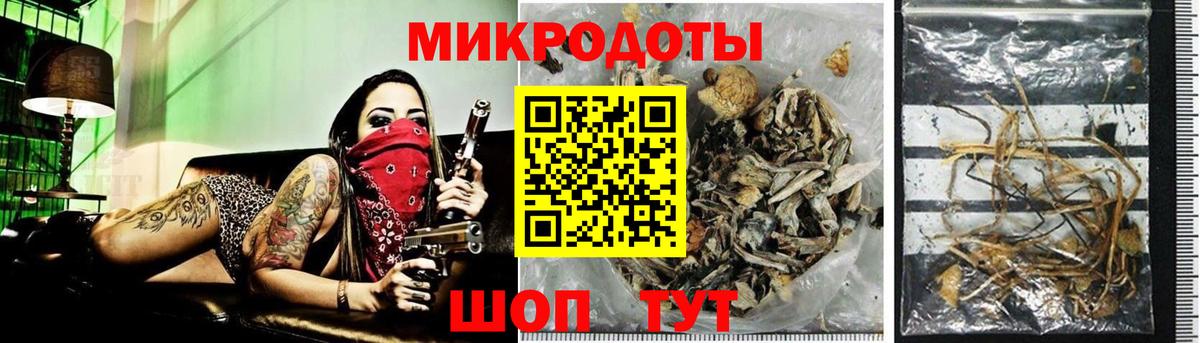 Псилоцибиновые грибы мухоморы Новоалександровск