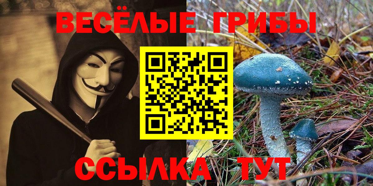 Новоалександровск  Галлюциногенные грибы GOLDEN TEACHER  купить  сайты  Вход с VPN 